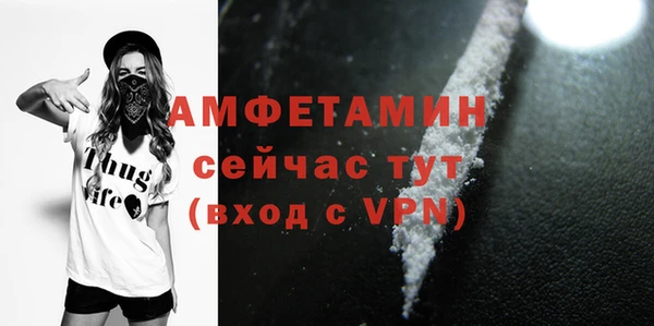 индика Кукмор