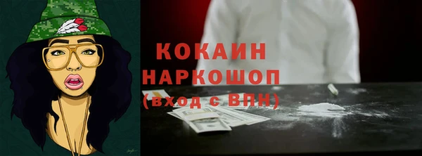 индика Кукмор