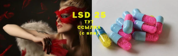 индика Кукмор