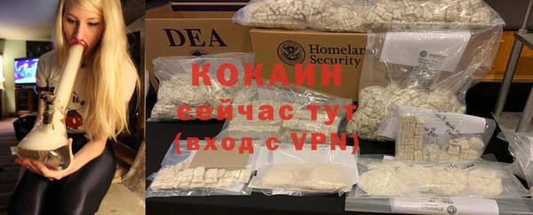индика Кукмор