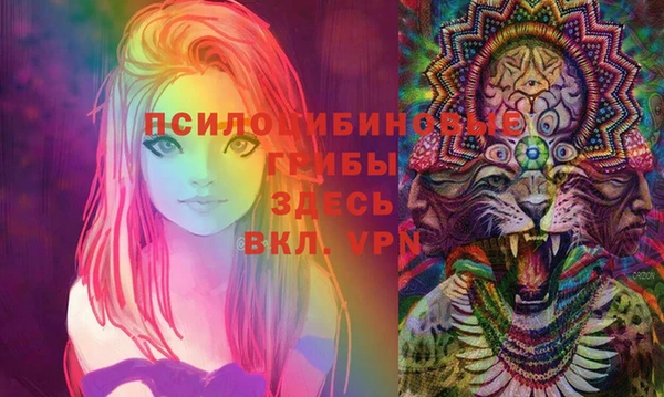 ECSTASY Лабытнанги