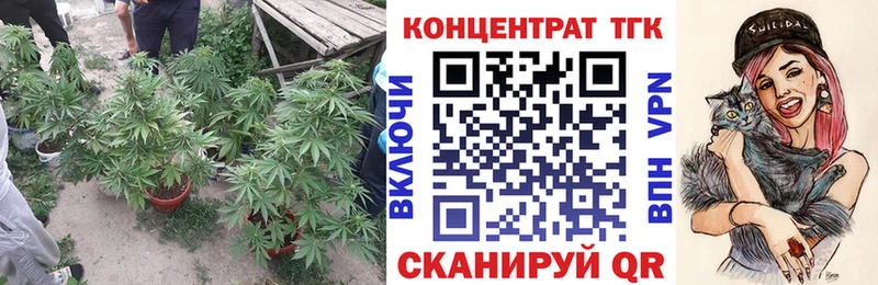 Дистиллят ТГК THC oil  Лесной 