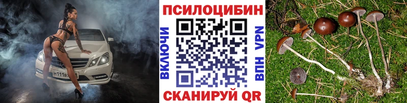 купить наркотики сайты  сайты даркнета какой сайт  Галлюциногенные грибы GOLDEN TEACHER  Лесной 