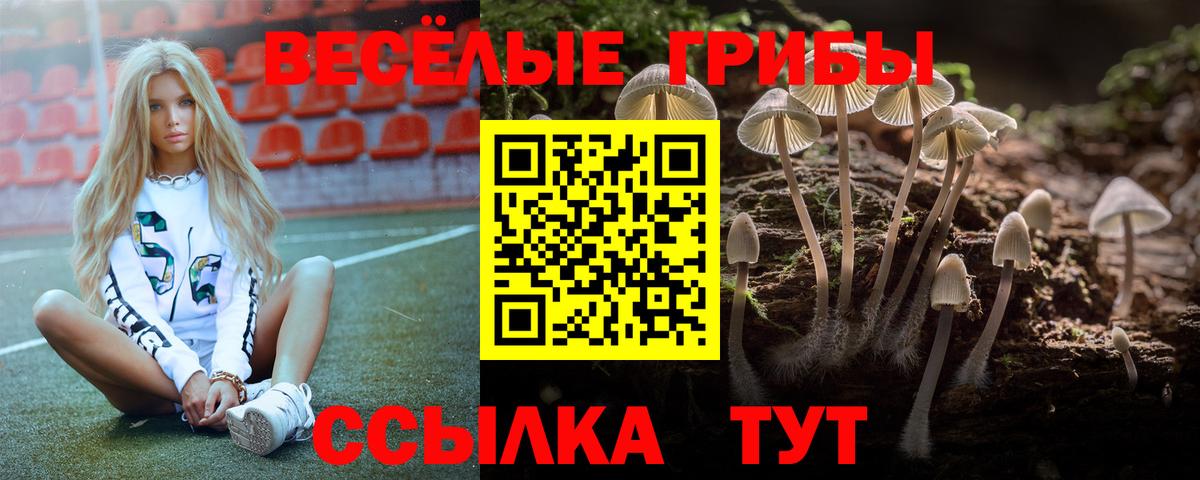 Галлюциногенные грибы Psilocybe  Галлюциногенные грибы Cubensis  Лесной  Вход с VPN 