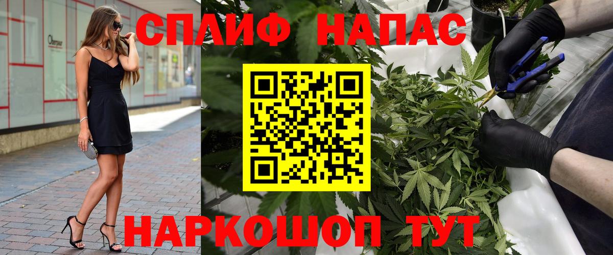Бошки марихуана MAZAR  Лесной  Бошки Шишки THC 21%  Бошки Шишки конопля  Шишки марихуана семена 