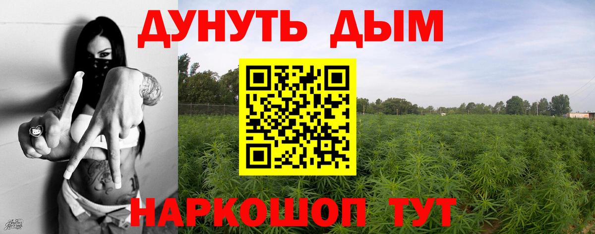 Бошки марихуана индика  Бошки Шишки OG Kush  Вход с VPN  Лесной  МАРИХУАНА индика  Конопля OG Kush 