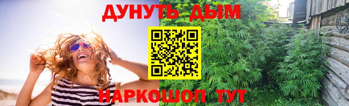 Канабис Amnesia Лесной